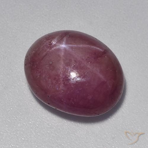 9,17 ctw natürlicher Mittel-Dunkelviolett Sternrubin, Oval, Lichtundurchlässig