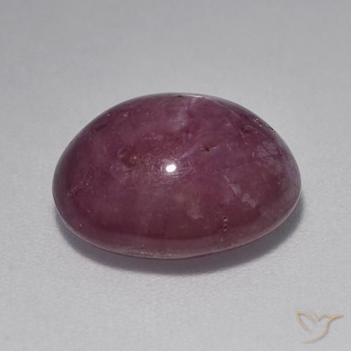 9,17 ctw natürlicher rötlich-lila Sternrubin, Oval, Lichtundurchlässig