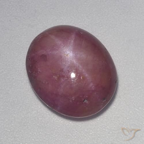 7.28ct Natürlicher rötlich-lila Sternrubin, Oval, Lichtundurchlässig