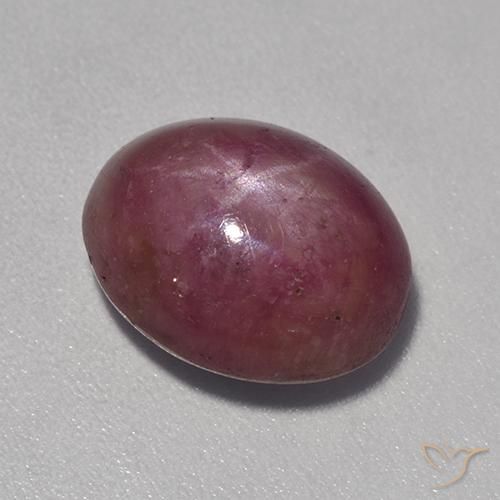 8.17ct Natürlicher Pflaume Lila Sternrubin, Oval, Lichtundurchlässig