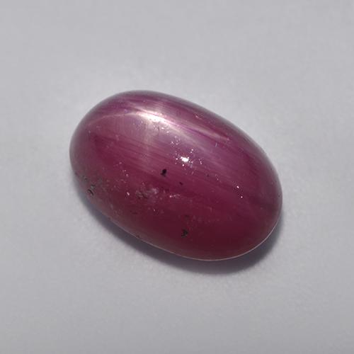 5,49 ctw natürlicher purpurfarbener Stern-Rubin, Oval Schliff, Lichtundurchlässig