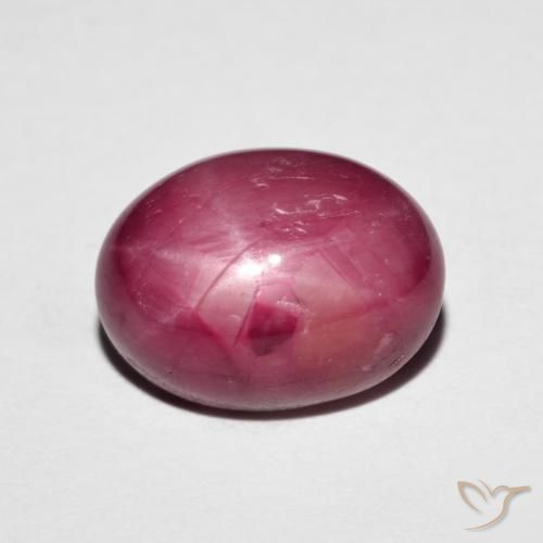 6.14ct Natürlicher tiefrot Sternrubin, Oval, Lichtundurchlässig