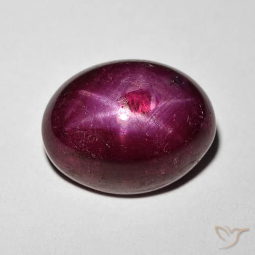 11.24ct Natürlicher Weinrot Sternrubin, Oval, Lichtundurchlässig