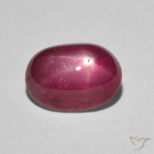 3.19ct Natürlicher Marmelade Rot Sternrubin, Oval, Lichtundurchlässig