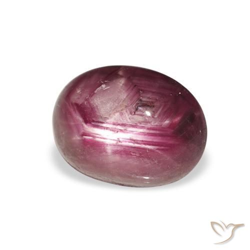 9,17 ctw natürlicher Medium Dark-Purple Sternrubin, Oval, Lichtundurchlässig