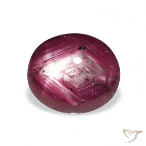 9,17 ctw natürlicher Medium Dark-Purple Sternrubin, Oval, Lichtundurchlässig