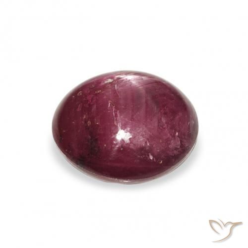 9,17 ctw natürlicher Medium Dark-Purple Sternrubin, Runden, Lichtundurchlässig