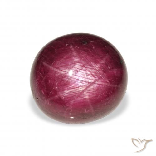 11.86ct Natürlicher Rosaig-lila Sternrubin, Oval, Lichtundurchlässig