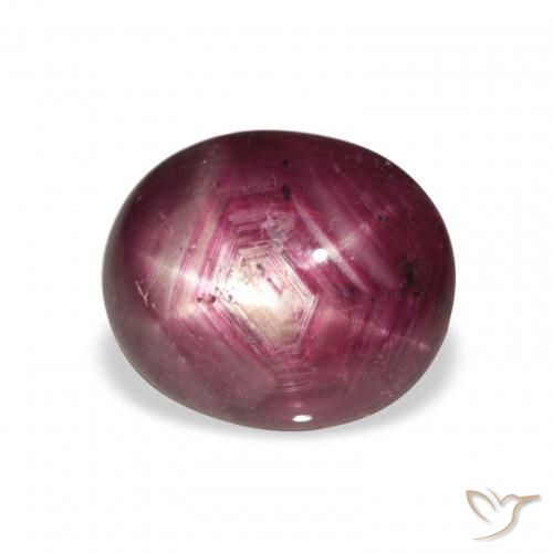 9,17 ctw natürlicher Medium Dark-Purple Sternrubin, Oval, Lichtundurchlässig