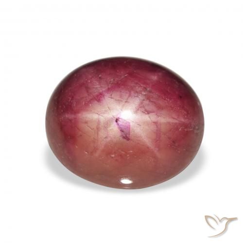 8.14ct Natürlicher Medium Light-Purple Sternrubin, Oval, Lichtundurchlässig
