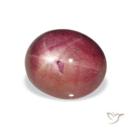 9,17 ctw natürlicher Medium Light-Purple Sternrubin, Oval, Lichtundurchlässig