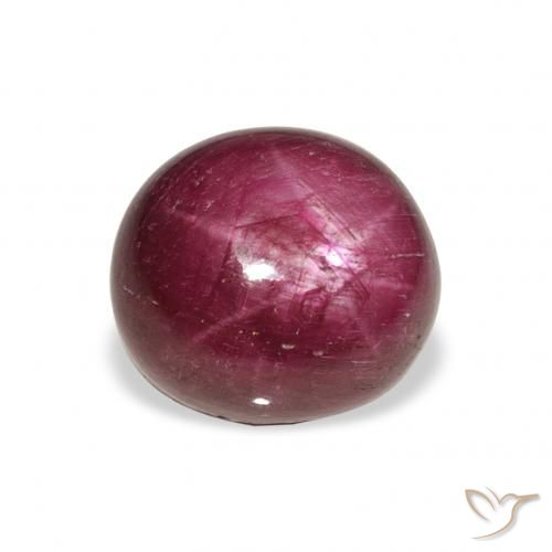 9.87ct Natürlicher Medium Dark-Purple Sternrubin, Oval, Lichtundurchlässig