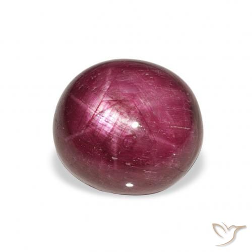 9,17 ctw natürlicher Medium Dark-Purple Sternrubin, Oval, Lichtundurchlässig