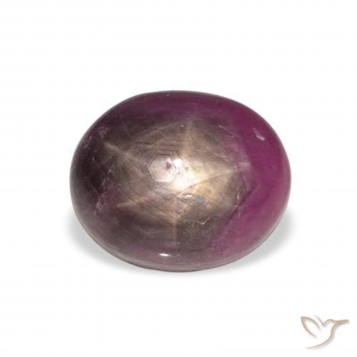 9.04ct Natürlicher rötlich-lila Sternrubin, Oval, Lichtundurchlässig