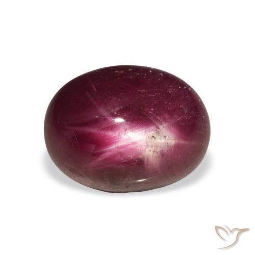 6.34ct Natürlicher dunkelrot Sternrubin, Oval, Lichtundurchlässig