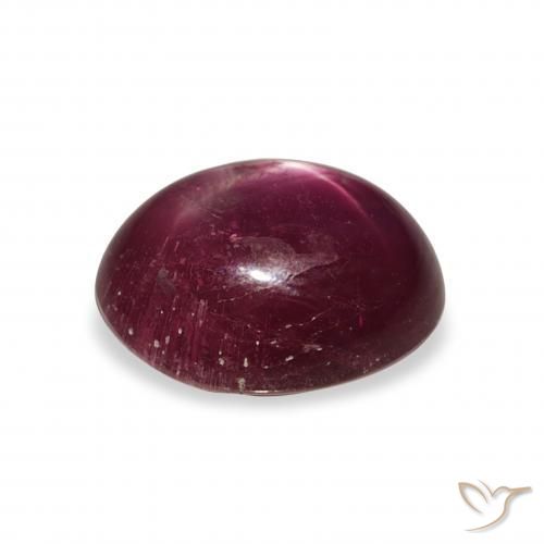 9,17 ctw natürlicher dunkelrot Sternrubin, Oval, Lichtundurchlässig