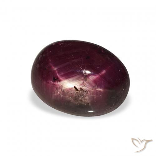 9,17 ctw natürlicher Tiefviolettes Rot Sternrubin, Oval, Lichtundurchlässig