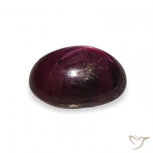 9,17 ctw natürlicher Tiefviolettes Rot Sternrubin, Oval, Lichtundurchlässig