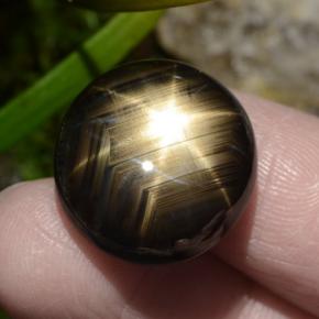 30,49 ctw natürlicher schwarzer Stern-Saphir, Oval Schliff, Lichtundurchlässig