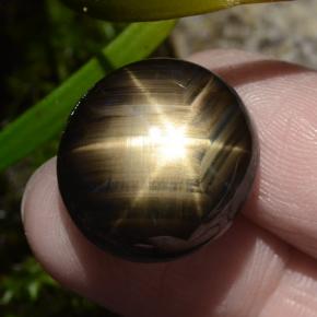 30,49 ctw natürlicher schwarzer Stern-Saphir, Oval Schliff, Lichtundurchlässig