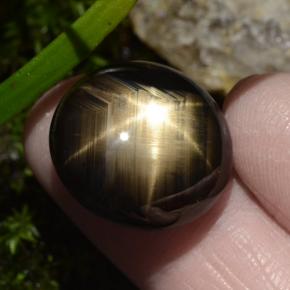 30,49 ctw natürlicher schwarzer Stern-Saphir, Oval Schliff, Lichtundurchlässig