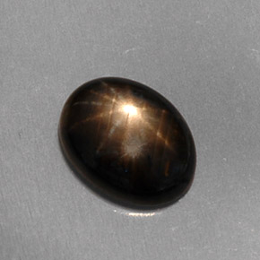 1,59 ctw natürlicher schwarzer Stern-Saphir, Oval Schliff, Lichtdurchlässig