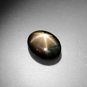 9,17 ctw natürlicher Schwarz Sternsaphir, Oval, Lichtundurchlässig