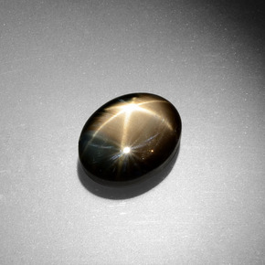 9,17 ctw natürlicher Schwarz Sternsaphir, Oval, Lichtundurchlässig