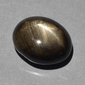 10,43 ctw natürlicher schwarzer Stern-Saphir, Oval Schliff, Lichtundurchlässig