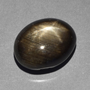 10,43 ctw natürlicher schwarzer Stern-Saphir, Oval Schliff, Lichtundurchlässig