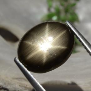 9,17 ctw natürlicher Schwarz Sternsaphir, Oval Schliff, Lichtundurchlässig