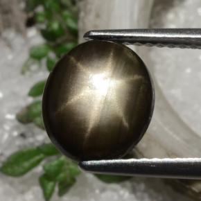 2,94 ctw natürlicher schwarzer Stern-Saphir, Oval Schliff, Lichtundurchlässig