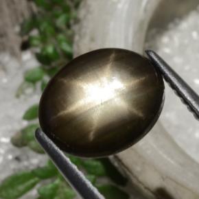2,94 ctw natürlicher schwarzer Stern-Saphir, Oval Schliff, Lichtundurchlässig