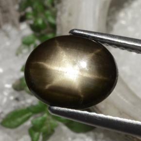 2,94 ctw natürlicher schwarzer Stern-Saphir, Oval Schliff, Lichtundurchlässig