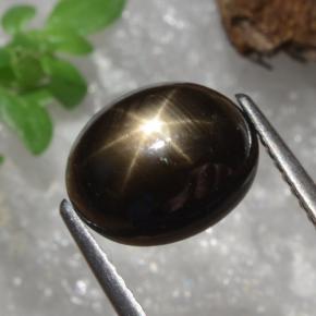 4,91 ctw natürlicher schwarzer Stern-Saphir, Oval Schliff, Lichtundurchlässig