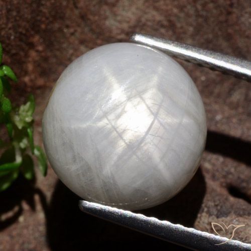 8.80ct Natürlicher Sehr helles Grau Sternsaphir, Runden, Lichtundurchlässig