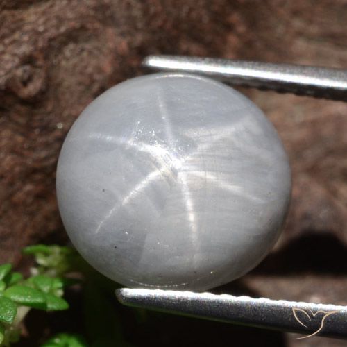 8.96ct Natürlicher Mittelgrau Sternsaphir, Runden, Lichtundurchlässig