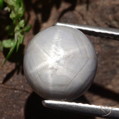 6.61ct Natürlicher Mittel-Dunkelgrau Sternsaphir, Oval, Lichtundurchlässig
