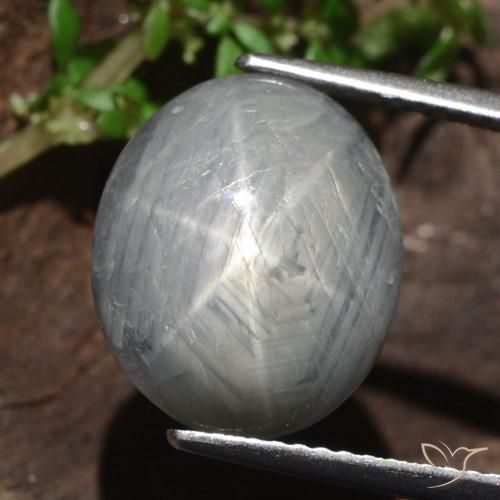 13.46ct Natürlicher Mittelgrau Sternsaphir, Oval, Lichtundurchlässig