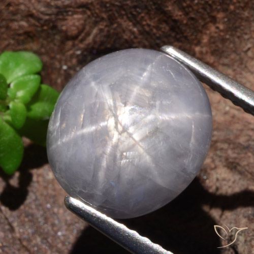 9.39ct Natürlicher Hellgrau Sternsaphir, Oval, Lichtundurchlässig