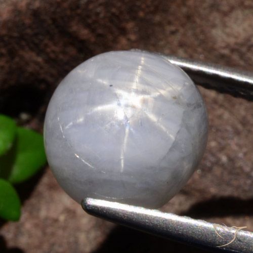 5.35ct Natürlicher Hellgrau Sternsaphir, Oval, Lichtundurchlässig