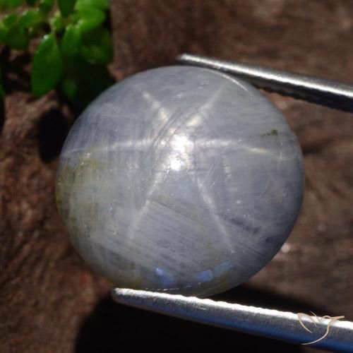 9,17 ctw natürlicher Hellgrau Sternsaphir, Rund Schliff, Lichtundurchlässig