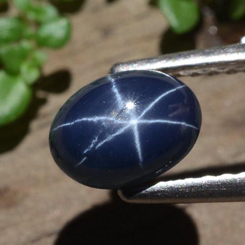1,58 ctw natürlicher blauer Stern-Saphir, Oval Schliff, Lichtundurchlässig