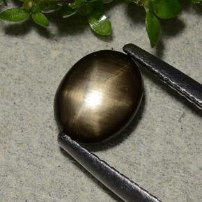 1,15 ctw natürlicher schwarzer Stern-Saphir, Oval Schliff, Lichtundurchlässig