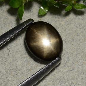 1,15 ctw natürlicher schwarzer Stern-Saphir, Oval Schliff, Lichtundurchlässig