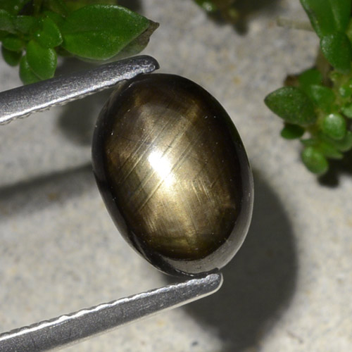 2,20 ctw natürlicher schwarzer Stern-Saphir, Oval Schliff, Lichtundurchlässig
