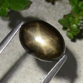 2,20 ctw natürlicher schwarzer Stern-Saphir, Oval Schliff, Lichtundurchlässig