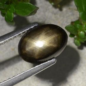 2,20 ctw natürlicher schwarzer Stern-Saphir, Oval Schliff, Lichtundurchlässig