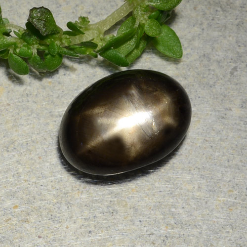 2,31 ctw natürlicher Schwarz Stern-Saphir, Oval Schliff, Lichtundurchlässig