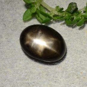 2,31 ctw natürlicher Schwarz Stern-Saphir, Oval Schliff, Lichtundurchlässig